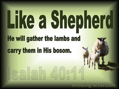 Isaiah 40:11 He Will Gather The Lambs (green)